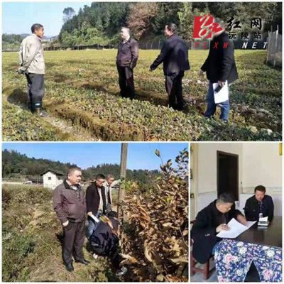 縣林業(yè)局開展雙隨機檢查與誠信宣傳，打造陽光執(zhí)法生態(tài)環(huán)境