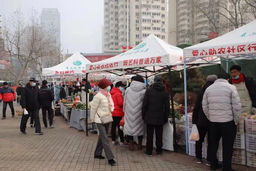 青島園藝市集盛大開集，60余種物美價(jià)廉林業(yè)產(chǎn)品任您選購