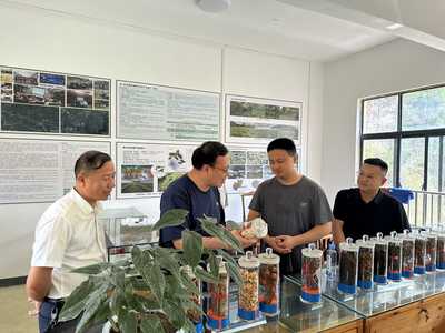 臺(tái)江縣林業(yè)產(chǎn)業(yè)與國有林場(chǎng)改革調(diào)研 宗煒副局長(zhǎng)強(qiáng)調(diào)優(yōu)化林業(yè)產(chǎn)品銷售渠道